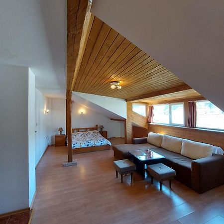 Vasi Apartments Dobrinishte Bagian luar foto