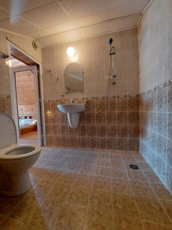 Vasi Apartments Dobrinishte Bagian luar foto